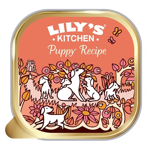 Lily's Kitchen - Nass Hundefutter für Welpen 6er Pack (6 x 400g) - Huhn von Lily's Kitchen