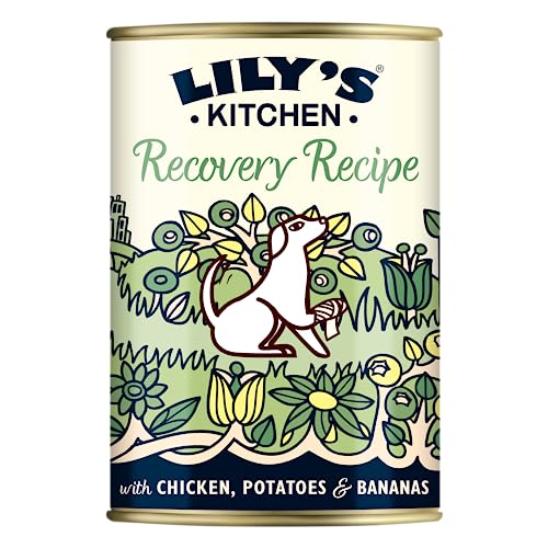 Lily's Kitchen Natürliches Nassfutter für ausgewachsene Hunde Dose - Hund auf dem Weg der Besserung - Getreidefreies Rezept (6 x 400g dosen) von Lily's Kitchen