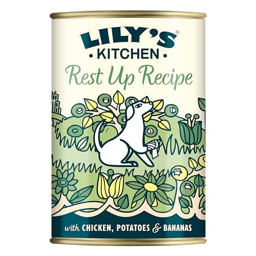 Lily's Kitchen Mit natürlichen Zutaten hergestellt Für ausgewachsene Hunde Nassfutter-Dose Ruhepause Rezeptur (6 x 400g) von Lily's Kitchen