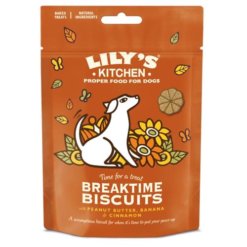 Lily's Kitchen Breaktime Biscuits-80 GR Lily's Kitchen Breaktime Biscuits-80 GR von Lily's Kitchen