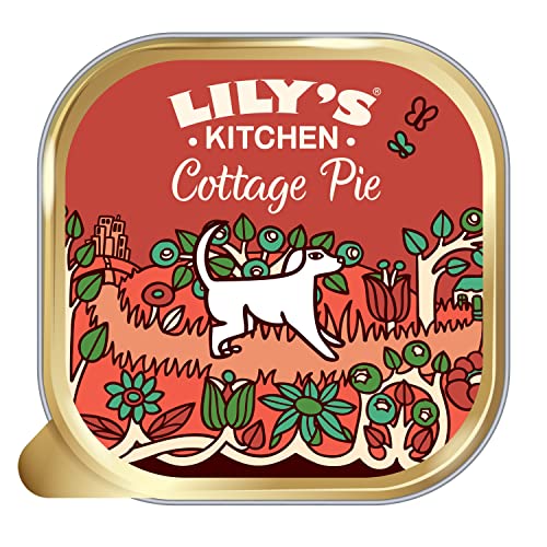 Lily's Kitchen Cottage Pie - Natural Complete Adult Dog Wet Food (10 x 150g) von Leeway
