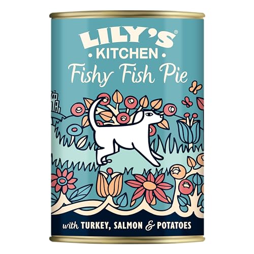 Lily's Kitchen Natürliches Nassfutter für ausgewachsene Hunde Dose - Leckere Fischpastete - Hundefutter Getreidefreies Rezept (6 x 400g dosen) von Lily's Kitchen