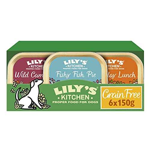 Lily's Kitchen - Getreidefreies Nass Hundefutter für ausgewachsene Hunde 6er Schalen (6 x 150g) - Multipack von Lily's Kitchen
