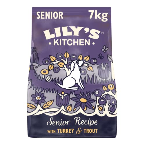 Lily's Kitchen Lachs und Forelle - Complete Natural getreidefreies Trockenfutter für ältere Hunde (7kg Pack) von Lily's Kitchen