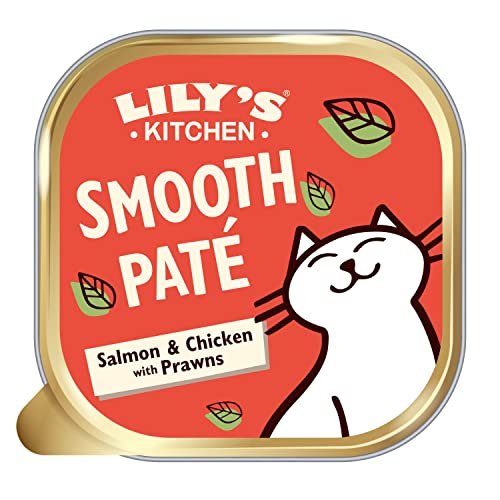 Lily’s Kitchen Premium Nass Katzenfutter für ausgewachsene Katzen 19 Schalen (19 x 85g) Fisch von Lily's Kitchen