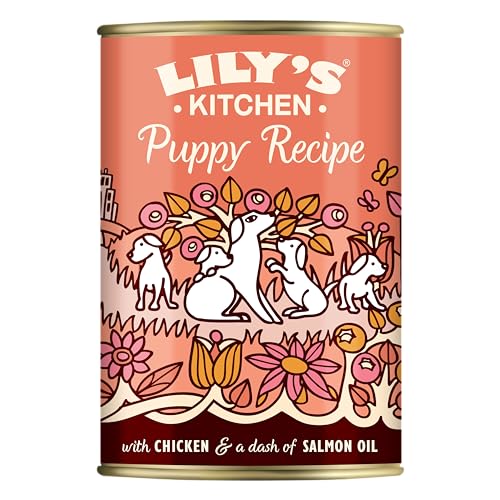Lily's Kitchen Natürliches Hunde-Nassfutter für Welpen Dosen Huhn - Hundefutter Getreidefreies Rezept (6 x 400g dosen) von Lily's Kitchen