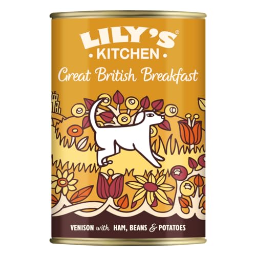 Lily's Kitchen Mit natürlichen Zutaten hergestellt Dosen-Nassfutter für ausgewachsene Hunde Leckeres britisches Frühstück 400g von Lily's Kitchen