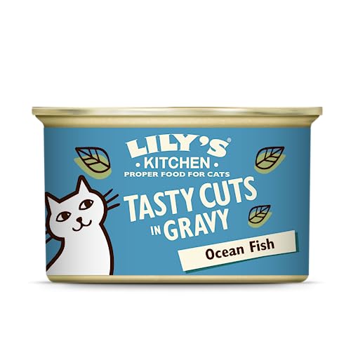 Lily’s Kitchen Nass Katzenfutter Fisch Tasty Cuts - 24er Pack (24 x 85g) Leckere Stückchen mit Fisch in Soße für Katzen von Lily's Kitchen