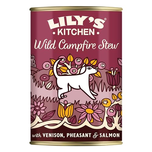 Lily's Kitchen Natürliches Nassfutter für ausgewachsene Hunde, Dose, Lagerfeuer-Eintopf getreidefreies Rezept (6 x 400g dosen) von Lily's Kitchen