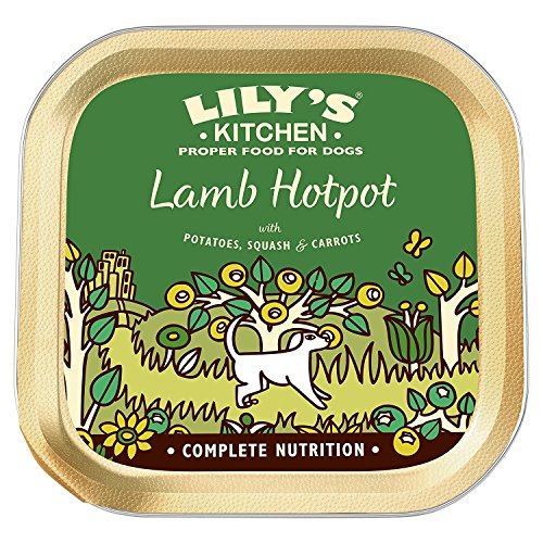 Lily's Kitchen Natural Complete Adult Wet Dog Food - Lamb Hotpot (10 x 150g) von Lily's Kitchen