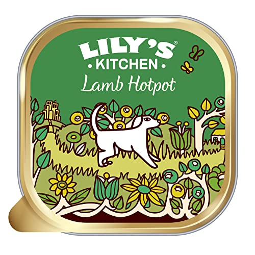 Lily's Kitchen Natural Complete Adult Wet Dog Food - Lamb Hotpot (10 x 150g) von Lily's Kitchen