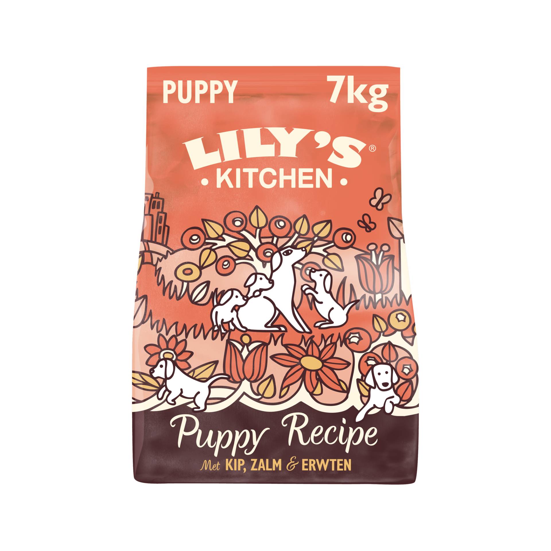 Lily's Kitchen Puppy - Huhn & Lachs - 7 kg Lily's Kitchen Puppy - Huhn & Lachs - 7 kg von Lily's Kitchen