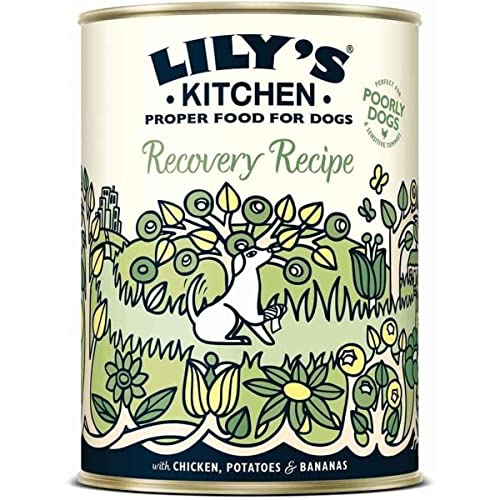 Lily's Kitchen Recovery Recipe, 200 g von Lily's Kitchen