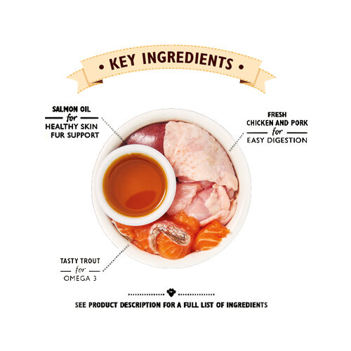 Lily's Kitchen Smooth Paté Kittenfutter - Schale - Huhn - 19 x 85 g Lily's Kitchen Smooth Paté Kittenfutter - Schale - Huhn - 19 x 85 g von Lily's Kitchen