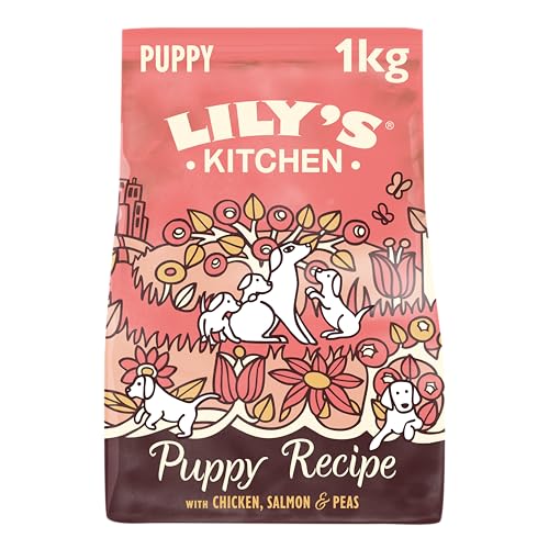 Lily's Kitchen Natürliches Trockenfutter für Welpen Huhn Lachs und Erbsen (1kg Pack) von Lily's Kitchen