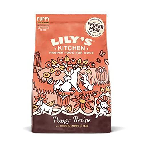 Lily's Kitchen Mit natürlichen Zutaten hergestellt Trockenfutter für Welpen, Lachs & Erbsen Getreidefreie Rezeptur 1kg Beutel von Lily's Kitchen
