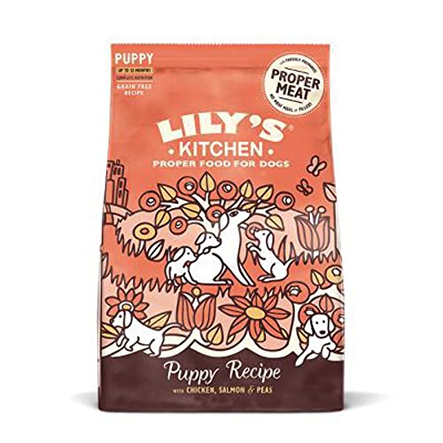 Lily's Kitchen Natürliches Trockenfutter für Welpen Huhn Lachs und Erbsen (1kg Pack) von Lily's Kitchen