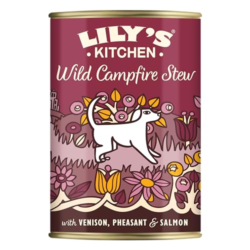 Lily's Kitchen Natürliches Nassfutter für ausgewachsene Hunde, Dose, Lagerfeuer-Eintopf getreidefreies Rezept (6 x 400g dosen) von Lily's Kitchen