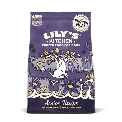 Lilys Kitchen Adult 8+ Lachs und Forelle Komplett Hunde Trockenfutter (1kg) (kann variieren) von Lily's Kitchen