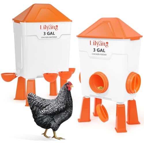 Lilyang Hühnerfutterstation und Bewässerungs-Set, 3 Gallonen Bewässerung, 6,4 kg Automatischer Futterspender Lilyang Hühnerfutterstation und Bewässerungs-Set, 3 Gallonen Bewässerung, 6,4 kg Automatischer Futterspender von Lilyang