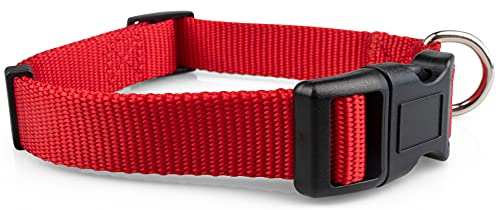 Limeloot Hundehalsband, Größe L, Rot von Limeloot