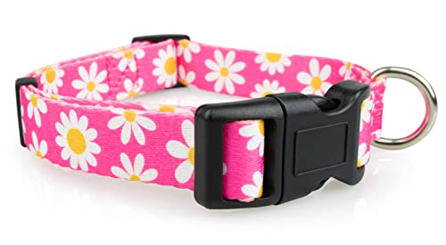 Limeloot Pink Daisy Hundehalsband, Frühling Sommer Hundehalsband für Hündinnen, Größe L von Limeloot