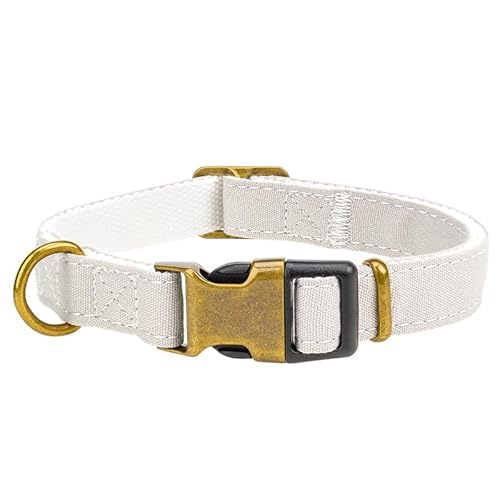 Leinwandkragen S Canvas Hundehalsband Mit Sicherheitsschnalle, Verstellbares Haustierhalsband Mit Weichem Neoprenfutter, Geeignet Für Mittelgroße Hunde, 1.5×26-40CM Grau Leinwandkragen S Canvas Hundehalsband Mit Sicherheitsschnalle, Verstellbares Haustierhalsband Mit Weichem Neoprenfutter, Geeignet Für Mittelgroße Hunde, 1.5×26-40CM Grau von Limin