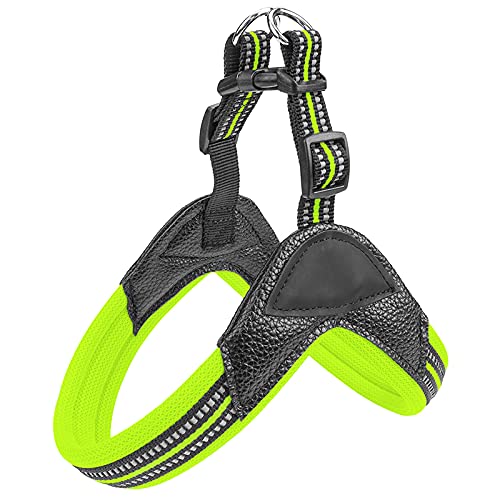 Reflektierende Seide Fischgräten Mit Leder Sandwich Atmungsaktives Mesh, Nylon Reflektierende Seide, Verstellbare Spannungsfreie Hundeweste, Geeignet Für Kleine Hunde 2.0×41-45CM Grün Reflektierende Seide Fischgräten Mit Leder Sandwich Atmungsaktives Mesh, Nylon Reflektierende Seide, Verstellbare Spannungsfreie Hundeweste, Geeignet Für Kleine Hunde 2.0×41-45CM Grün von Limin