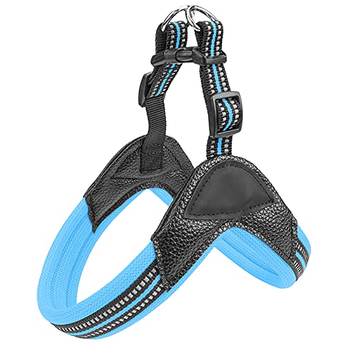 Reflektierende Seide Fischgräten Mit Leder Sandwich Atmungsaktives Mesh, Nylon Reflektierende Seide, Verstellbare Spannungsfreie Hundeweste, Geeignet Für Kleine Hunde 2.0×55-60CM Blau Reflektierende Seide Fischgräten Mit Leder Sandwich Atmungsaktives Mesh, Nylon Reflektierende Seide, Verstellbare Spannungsfreie Hundeweste, Geeignet Für Kleine Hunde 2.0×55-60CM Blau von Limin