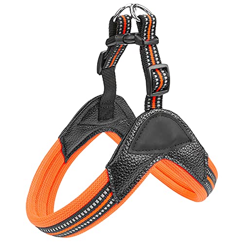 Reflektierende Seide Fischgräten Mit Leder Sandwich Atmungsaktives Mesh, Nylon Reflektierende Seide, Verstellbare Spannungsfreie Hundeweste, Geeignet Für Kleine Hunde 2.0×55-60CM Orange Farbe Reflektierende Seide Fischgräten Mit Leder Sandwich Atmungsaktives Mesh, Nylon Reflektierende Seide, Verstellbare Spannungsfreie Hundeweste, Geeignet Für Kleine Hunde 2.0×55-60CM Orange Farbe von Limin