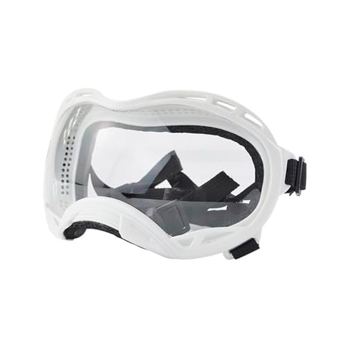 Haustierbrille Für Winddichte Augenschutzhund Brillenhund Sonnenbrille Freien. Haustierbrille Für Winddichte Augenschutzhund Brillenhund Sonnenbrille Freien. von Limtula