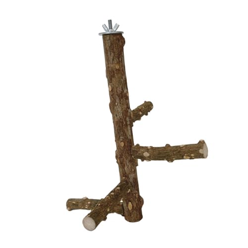Klettern Leiter Hangringe Vogelspielzeug Haltbarkeit Holz Vogel Papageienplattform Für EIN Gesundes Spiel Klettern Leiter Hangringe Vogelspielzeug Haltbarkeit Holz Vogel Papageienplattform Für EIN Gesundes Spiel von Limtula