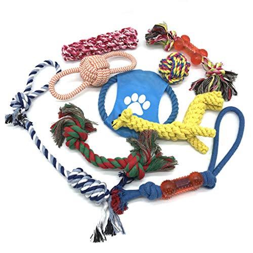 Limtula 10-teiliges Hunde Kauseil Spielzeug Set Für Saubere Zähne Waschbares Strapazierfähiges Welpen Hundespielzeug Aus Baumwolle Für Mittelgroße Hunde Unter 5 Jahren von Limtula