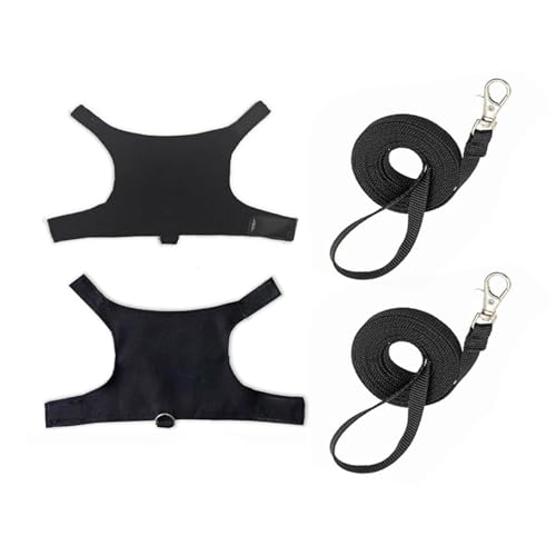 Limtula Bartagamen Gehgeschirr Und Leine Set Für Outdoor Walking Training Sicheres Trainingsgeschirr Reptilien Kleidung 2 Set von Limtula