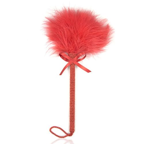 Limtula Katzen Stick Spielzeug für interaktives Spielen Katzen Stick Katzen Spielzeug Limtula Katzen Stick Spielzeug für interaktives Spielen Katzen Stick Katzen Spielzeug von Limtula