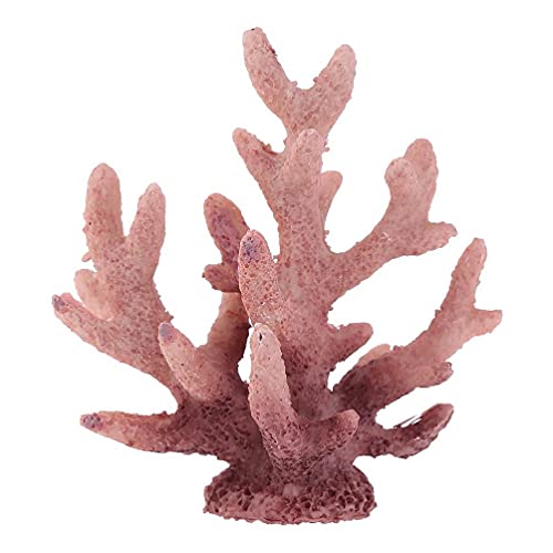 Limtula Kunstharz-Korallenornamente, Aquarium-Dekoration, künstliche Korallenornamente, Fisch für Aquarien, Korallendekorationen, Landschaftszubehör, Aquarium-Dekoration, künstliche Landschaft Limtula Kunstharz-Korallenornamente, Aquarium-Dekoration, künstliche Korallenornamente, Fisch für Aquarien, Korallendekorationen, Landschaftszubehör, Aquarium-Dekoration, künstliche Landschaft von Limtula