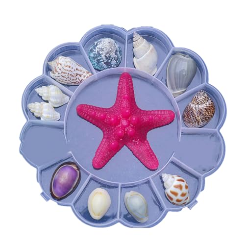 Limtula Natürliche Muschel Display Box Set Muscheln Klare Seesterne Schmuckfische Organisatoren Für Aquarien Und Küstendekoration Muschel Seestarfishes Schmuck Organisatoren Limtula Natürliche Muschel Display Box Set Muscheln Klare Seesterne Schmuckfische Organisatoren Für Aquarien Und Küstendekoration Muschel Seestarfishes Schmuck Organisatoren von Limtula