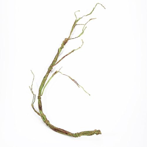 Limtula Realistische Künstliche Weinrebe Für Terrarien Und Reptilien Enthusiasten Tierhandels Home Züchter Klettern Branch Für Reptilien von Limtula