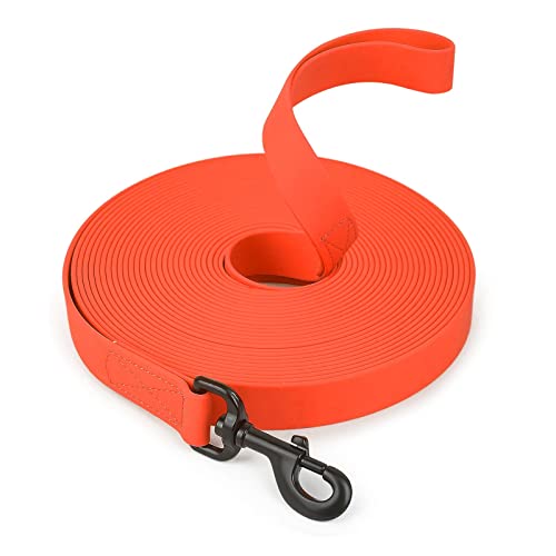 KANGYEBAIHUODIAN 1,5 m/3 m/5 m/10 m Starke 2,5 cm breite PVC-Hundeleine, Mehrfarbig, langlebig, wasserdicht, Hundetrainingsleine, passend for Hunde (Color : Orange, Size : 1.5-Meters) von LinCys