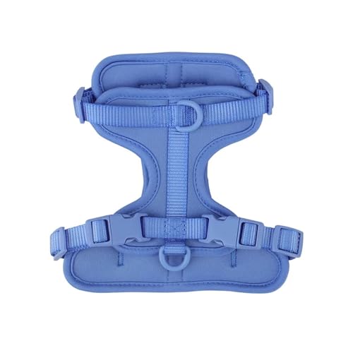 KANGYEBAIHUODIAN Atmungsaktives, leichtes Hundegeschirr, Verstellbarer Brustgurt for Haustiere, Outdoor-Spaziergang, Training, Haustiergeschirr, passend for kleine, mittelgroße Hunde (Color : Blue, von LinCys