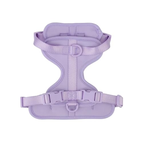KANGYEBAIHUODIAN Atmungsaktives, leichtes Hundegeschirr, Verstellbarer Brustgurt for Haustiere, Outdoor-Spaziergang, Training, Haustiergeschirr, passend for kleine, mittelgroße Hunde (Color : Purple KANGYEBAIHUODIAN Atmungsaktives, leichtes Hundegeschirr, Verstellbarer Brustgurt for Haustiere, Outdoor-Spaziergang, Training, Haustiergeschirr, passend for kleine, mittelgroße Hunde (Color : Purple von LinCys
