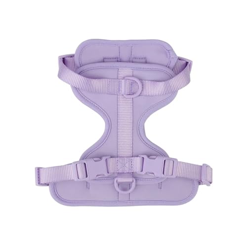 KANGYEBAIHUODIAN Atmungsaktives, leichtes Hundegeschirr, Verstellbarer Brustgurt for Haustiere, Outdoor-Spaziergang, Training, Haustiergeschirr, passend for kleine, mittelgroße Hunde (Color : Purple von LinCys