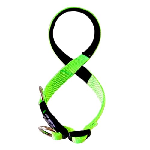 KANGYEBAIHUODIAN Einstellbare Maulkorb Hund Halter Führer Gürtel Langlebig Anti-Biss Maulkorb Fit for Hunde Welpen Training Leine Anti Beißen Stop kauen Mund 2022 (Color : Green, Size : XL) von LinCys