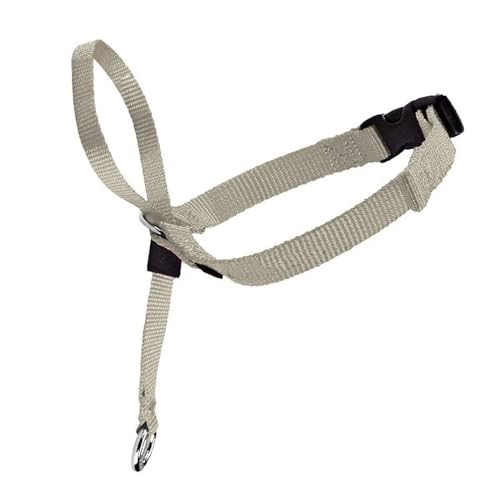 KANGYEBAIHUODIAN Einstellbare Nylon Hund Haustier Hund Gepolsterte Kopf Kragen Sanfte Halfter Leine Führer Stoppen Ziehen Ausbildung Maulkörbe Werkzeuge Hund Fit for Zubehör (Color : Gray, Size : M von LINCYS