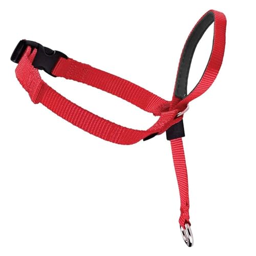 KANGYEBAIHUODIAN Einstellbare Nylon Hund Haustier Hund Gepolsterte Kopf Kragen Sanfte Halfter Leine Führer Stoppen Ziehen Ausbildung Maulkörbe Werkzeuge Hund Fit for Zubehör (Color : Red, Size : L) von LINCYS