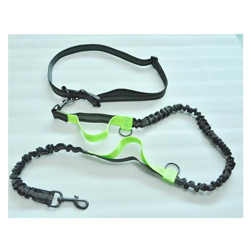 KANGYEBAIHUODIAN Einziehbare freihändige Hundeleine, geeignet for Laufen, doppelte Griffe, elastische Kordel, reflektierend, große Hundeleine, Heimtierbedarf (Color : Light Green) von LinCys