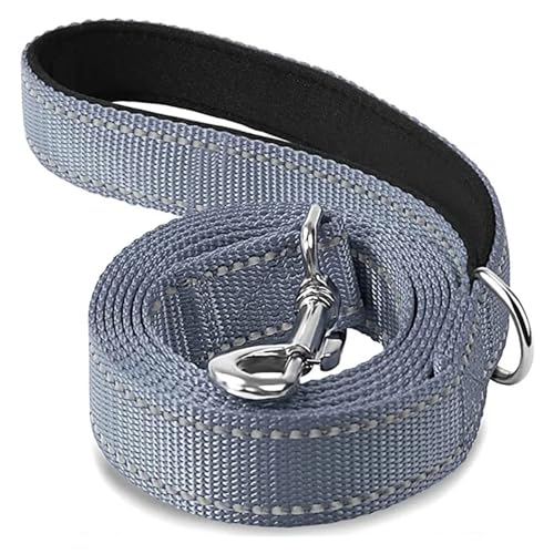 KANGYEBAIHUODIAN Fit for Nachtreflexion Hund Haustier Abschleppseil 1,2/1,5/1,8 m Schutzseil Haustier Walking Training Leine Katzen Hunde Geschirr Halsband Leine Gurt (Color : Gray, Size : 2.5x180cm KANGYEBAIHUODIAN Fit for Nachtreflexion Hund Haustier Abschleppseil 1,2/1,5/1,8 m Schutzseil Haustier Walking Training Leine Katzen Hunde Geschirr Halsband Leine Gurt (Color : Gray, Size : 2.5x180cm von LinCys