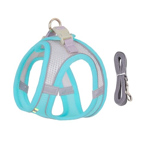 KANGYEBAIHUODIAN Hundegeschirr-Leine-Set, passend for kleine Hunde, verstellbares Welpen-Katzengeschirr, Weste, französische Bulldogge, Chihuahua, Mops, Outdoor-Walking-Leine (Color : Blue Green, SI von LinCys