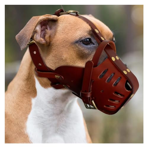 KANGYEBAIHUODIAN Maulkorb for Hunde aus echtem Leder, Anti-Biss-Maulkorb for Hunde, Traning-Maulkorb, kein Biss, Anti-Bell-Haustiermaske, passend for mittelgroße und große Hunde, Pitbull, Labrador (C von LinCys