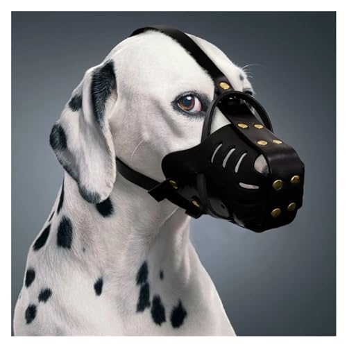 KANGYEBAIHUODIAN Maulkorb for Hunde aus echtem Leder, Anti-Biss-Maulkorb for Hunde, Traning-Maulkorb, kein Biss, Anti-Bell-Haustiermaske, passend for mittelgroße und große Hunde, Pitbull, Labrador (C KANGYEBAIHUODIAN Maulkorb for Hunde aus echtem Leder, Anti-Biss-Maulkorb for Hunde, Traning-Maulkorb, kein Biss, Anti-Bell-Haustiermaske, passend for mittelgroße und große Hunde, Pitbull, Labrador (C von LinCys